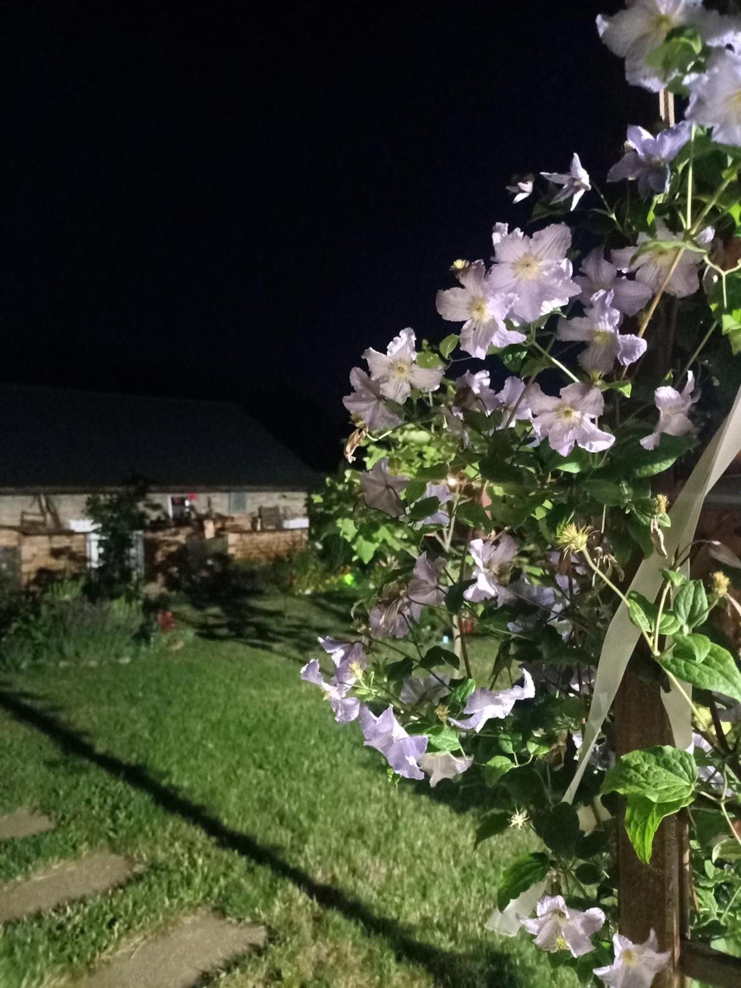 Apartamento Ostoja Czersk Zamek Gora Kalwaria Exterior foto